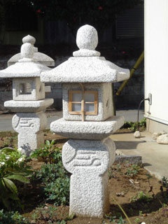 カツラオリベ