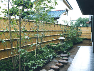 竹垣と植木