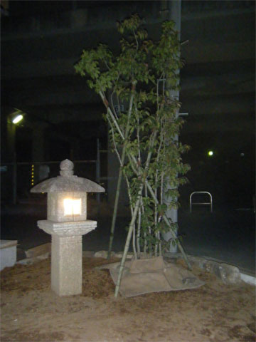 燈籠の灯り